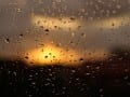 Evening Rain by David O\'Brien