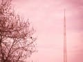 Rose-Coloured Sky by Sharon Crabb