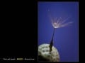 Slide14