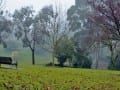 Foggy Morning by Eric Yuan