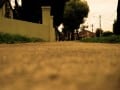 Summer Street by Joe Conte