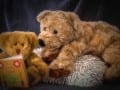 Bedtime Story-45_Web