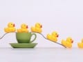 bath time PRINT_Web
