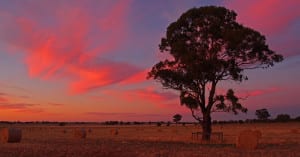08-Kyabram-Sunset-14s